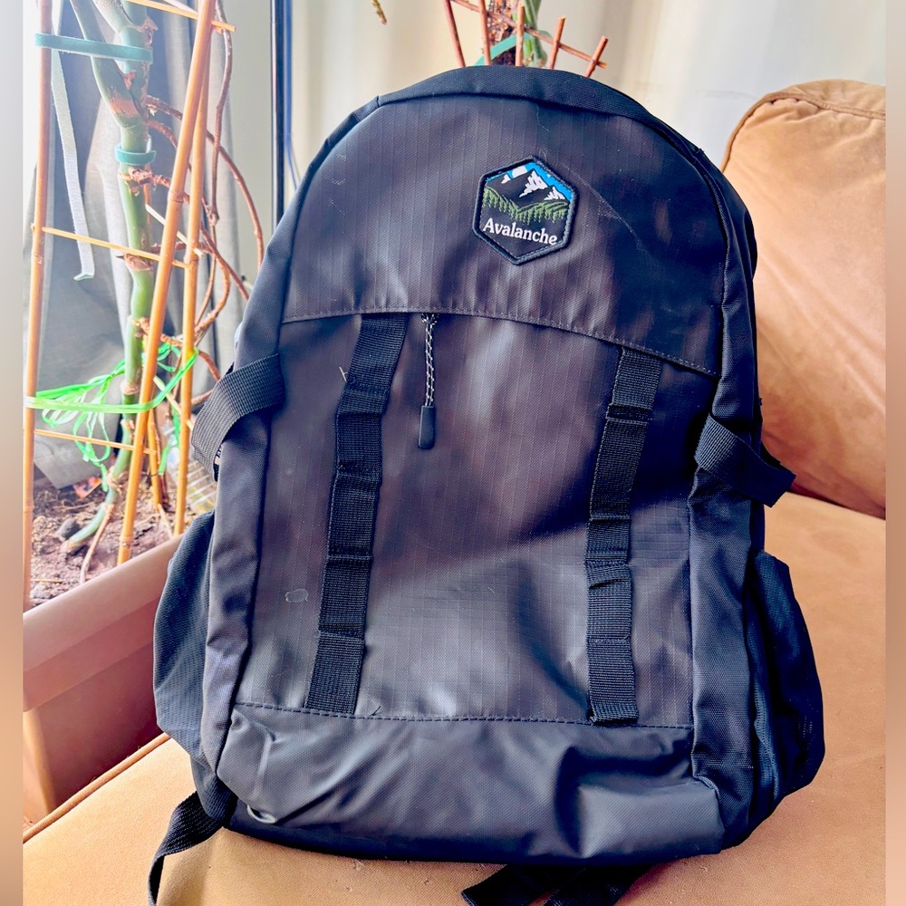Avalanche School Backpack